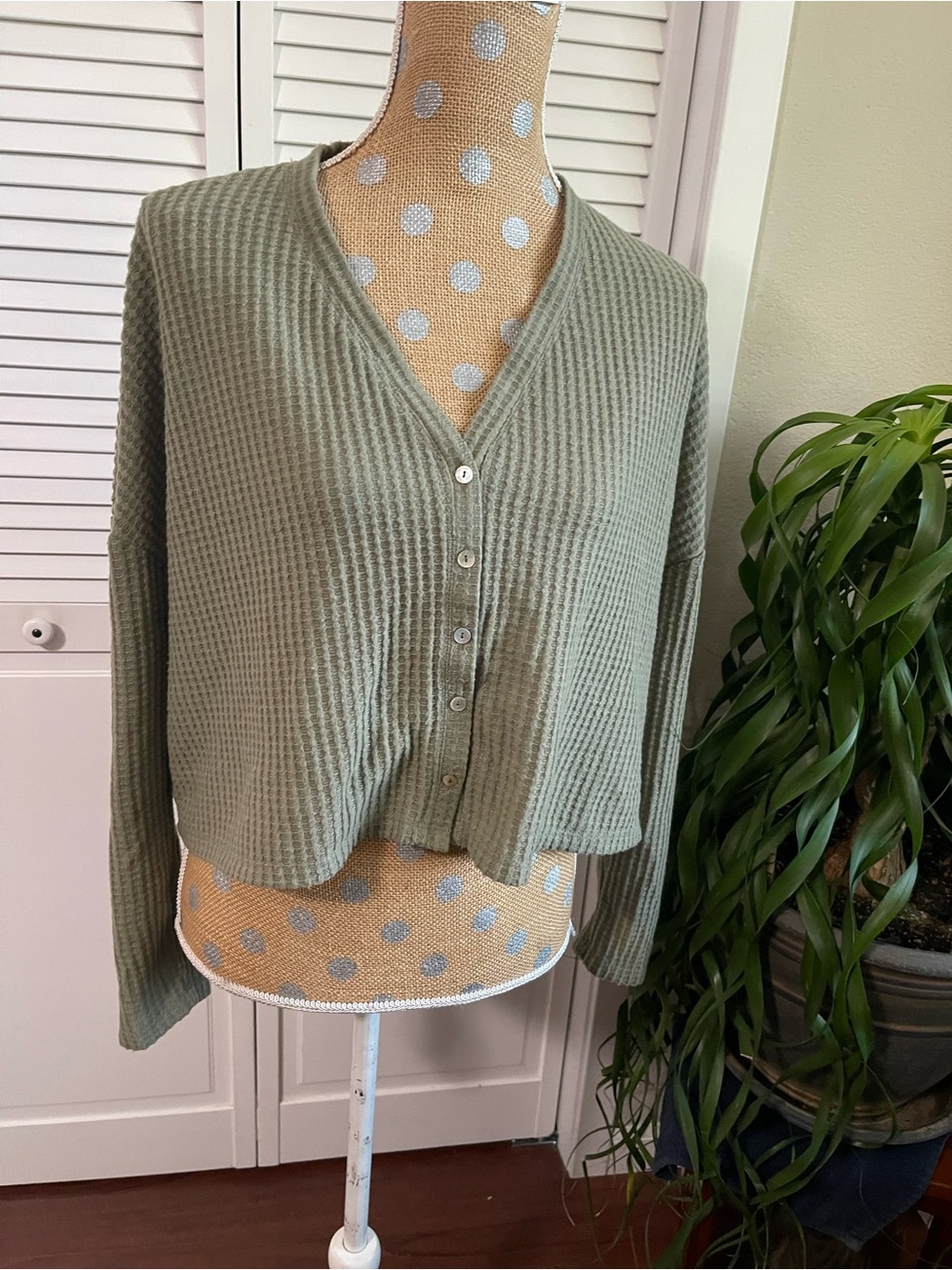 Talulah soft green button front sweater